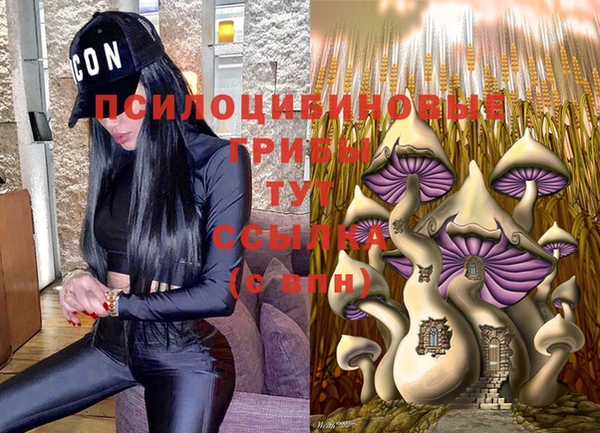 гашик Беломорск